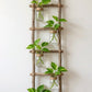 Wall Hanging