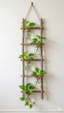Wall Hanging